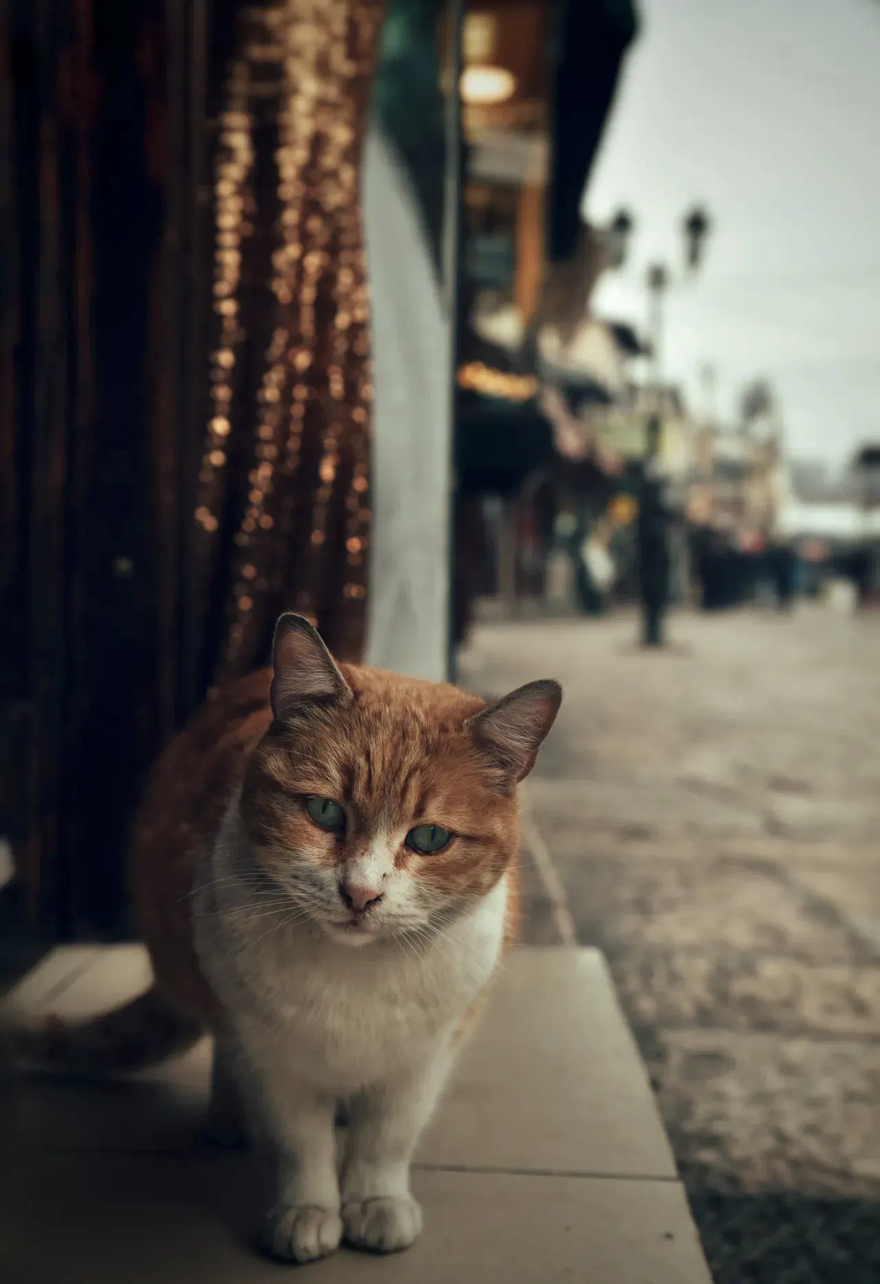 Üsküp Gezi Fotoğraf Rehberi, Üsküp Fotoğrafları, Üsküp Gezi ve Fotoğraf Rehberi, Üsküp Fotoğrafları, Uskup fotograflari, üsküp gezilecek yerler, üsküp kaç günde gezilir, üsküp gece hayatı, üsküp kaç saat, üsküp vizeli mi, üsküpten ne alınır, üsküpte ne yenir, üsküp ün neyi meşhur, Üsküp'te ne kadar para harcanır, Üsküp'te hayat pahalı mı, makedonya gezilecek yerler, üsküp hayat kadını, üsküp alışveriş, üsküp fiyatlar