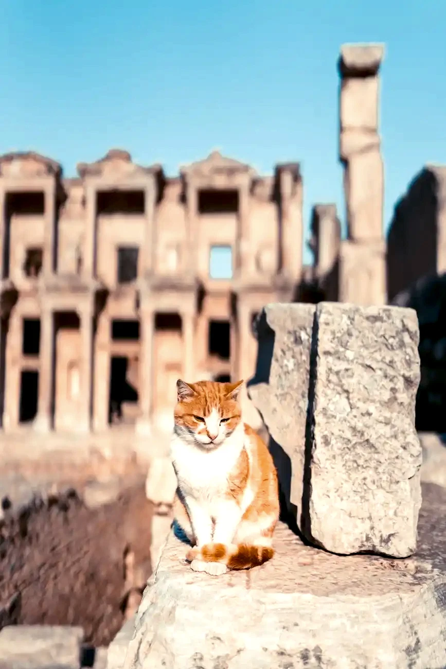 Ephesus Travel Guide